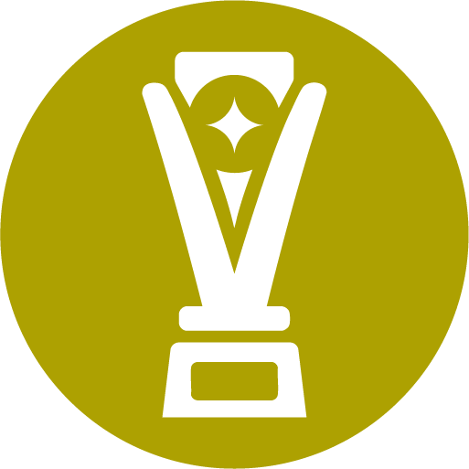 Premiações e reconhecimentos 2 A Sociedade Amigos da Cultura Afro-Brasileira (AMAFRO) - Premios
